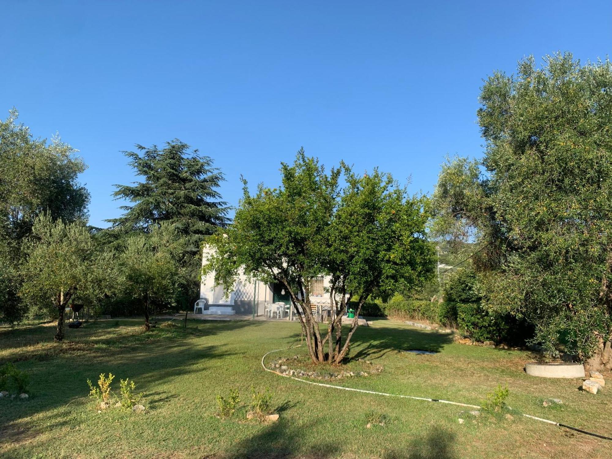 Casa Colonica Di Campagna Come Era Una Volta Peschici Exterior photo