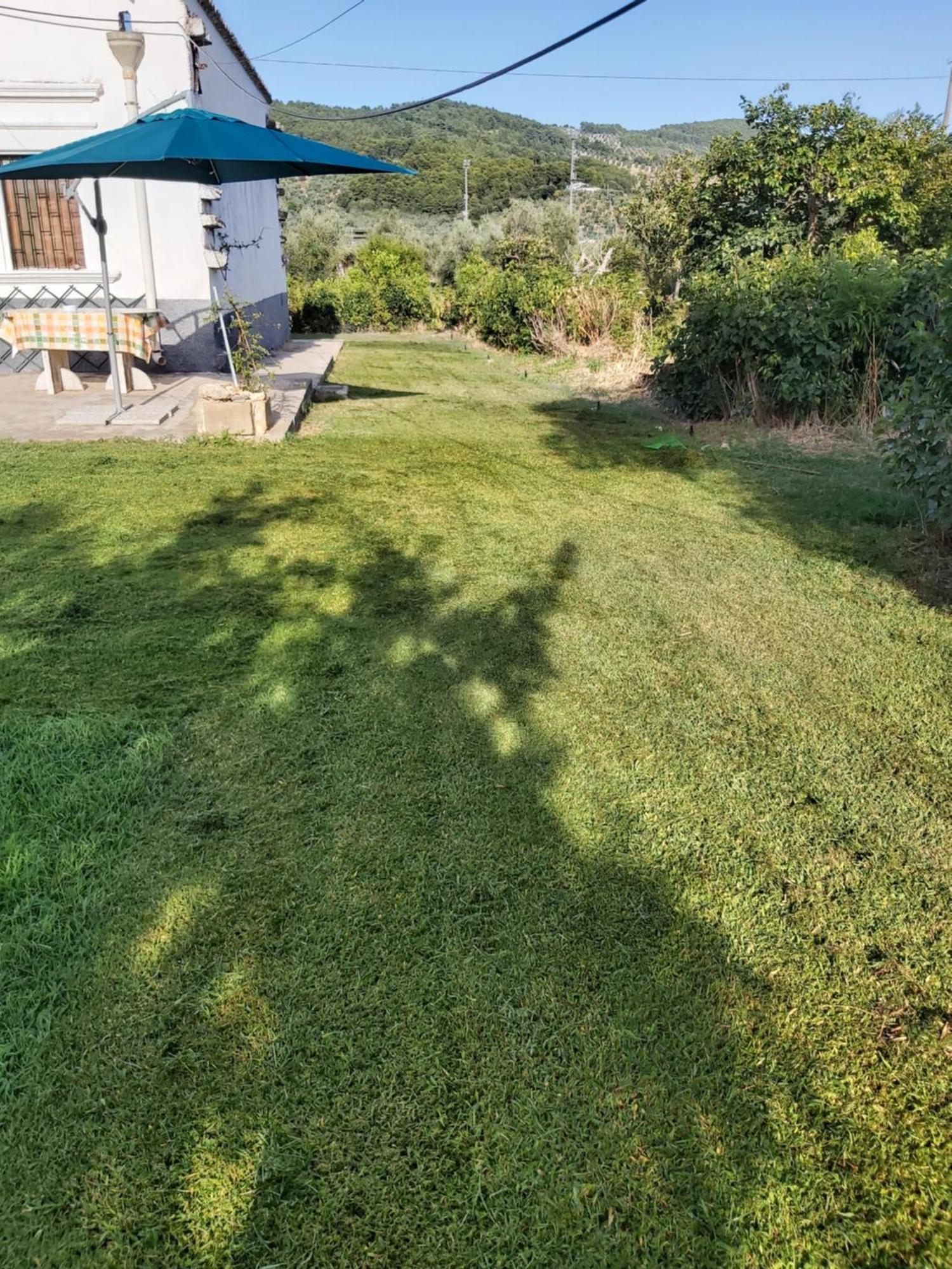Casa Colonica Di Campagna Come Era Una Volta Peschici Room photo